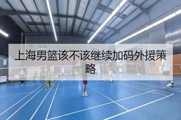 上海男篮该不该继续加码外援策略